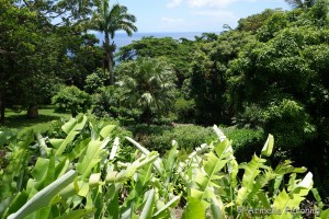 Guadeloupe Août 2015-02833          